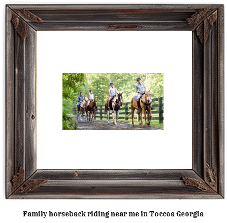 family horseback riding near me in Toccoa, Georgia